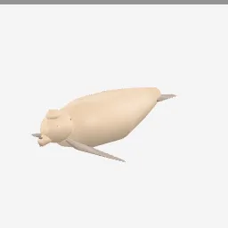 Sea Lion low-poly 3D model (6,660 tris)