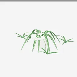 Spider Plant low-poly 3D model (12,048 tris)