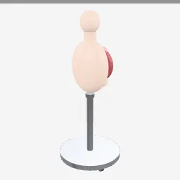 Anatomical Model low-poly 3D model (5,664 tris)