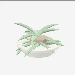 Air Plants low-poly 3D model (10,428 tris)