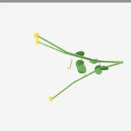 Buttercup low-poly 3D model (13,360 tris)