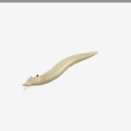 Moray Eel low-poly 3D model (8,360 tris)