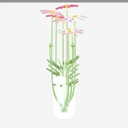 Cosmos Bunch low-poly 3D model (25,940 tris)