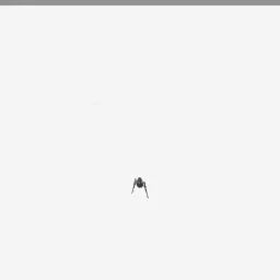 Spider Web Corner low-poly 3D model (5,096 tris)
