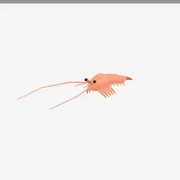 Shrimp low-poly 3D model (5,540 tris)