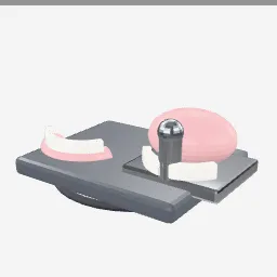 Denture Model low-poly 3D model (6,580 tris)