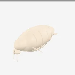Walrus low-poly 3D model (11,708 tris)