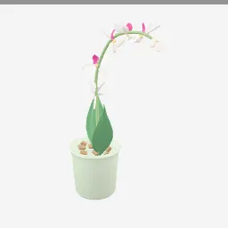 Orchid Pot low-poly 3D model (6,042 tris)