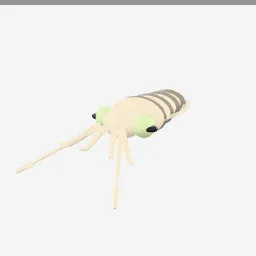 Cuttlefish low-poly 3D model (12,576 tris)